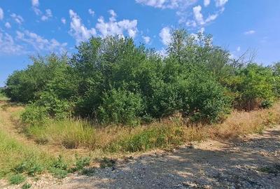 Teren de 2744 mp, în Central