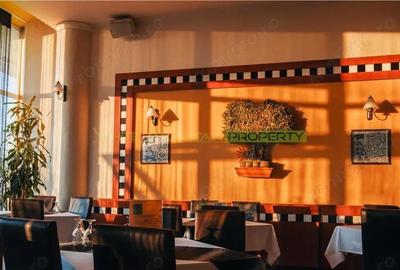 Timisoara, OPORTUNITATE INVESTITIE, hotel, clinica sau azil, 41 camere - 4