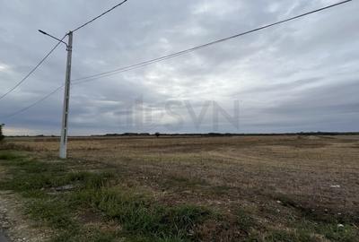 REL4001197 Teren intravilan construibil zona rezidentiala - 4