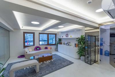 Spatiu Comercial | Showroom | Birou reprezentativ I C Bratianu | Universitate - 23