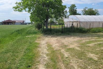 Teren de 4332 mp, în Fughiu - 2