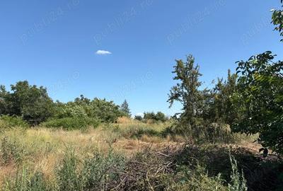 Casă cu 2 camere cu Teren 3600 Mp în Găujani - 2