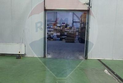 Spațiu industrial, de 880 mp, în Muntenii de Jos - 6