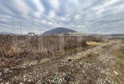 Teren de 1000 mp, în Central