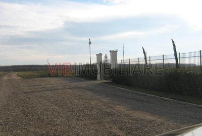 Teren de 61830 mp, în Belciugatele - 7