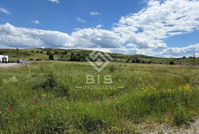 Teren Construcții intravilan de 6855 mp, în Sud - 4