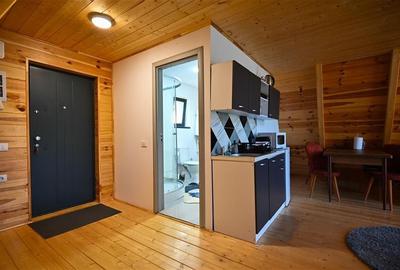 FILM! Ansamblu in circuit hotelier,5.700mp teren,Moieciu,constructie 2025 - 3