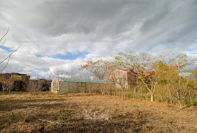 Vanzare ferma agricola Negru Voda - Constanta cu 240 hectare teren si utilaje - 19
