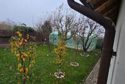 Vila de vanzare Petresti - 9