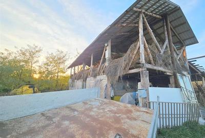 Teren agricol extravilan de 10000 mp, în 9 Mai - 6