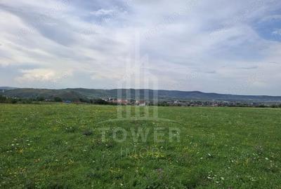 Teren de 1500 mp, în Orlat - 3