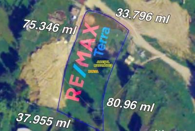 Teren de 2770 mp, în Est - 12