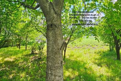 Casă cu 4 camere cu Teren 7481 Mp în Bodești - 9