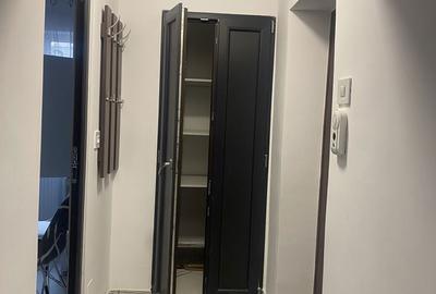 Apartament cu 2 camere decomandat în Malu Roșu - 6