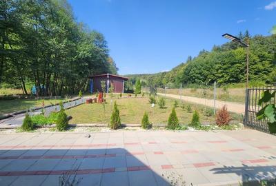 Proprietate specială, de 84 mp, în Dumbrăvița - 4