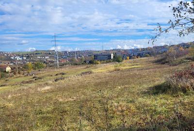 Vand teren cu PUZ aproape de manastire Vand teren cu PUZ aproape de manastire - 2