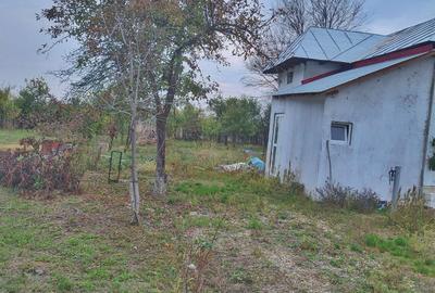 Spațiu comercial, în Podu Broșteni - 1