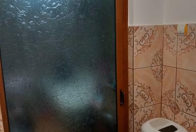 Garsonieră nedecomandată în Exterior Vest - 3