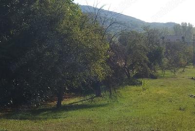Teren de 2298 mp, în Păușești - 3