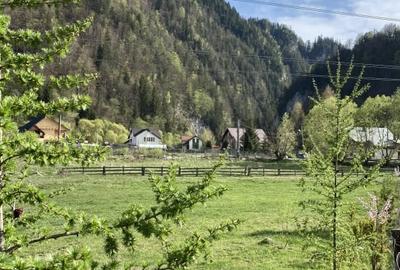 Teren panoramic insorit, utilitati, panta mica si padure, turism sau vacanta - 5