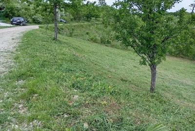 Teren de 1370 mp, în Băbana - 5