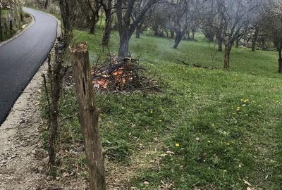 Spațiu comercial, în Berbești - 3