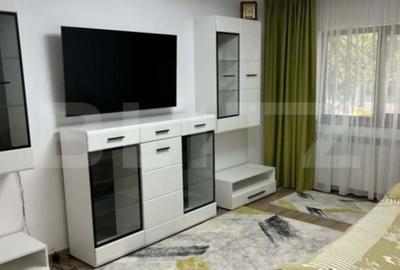 Apartament cu 2 camere decomandat, mobilat în Canta - 4