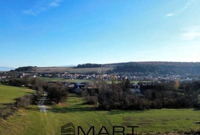 Teren extravilan 650mp Rusciori - 2