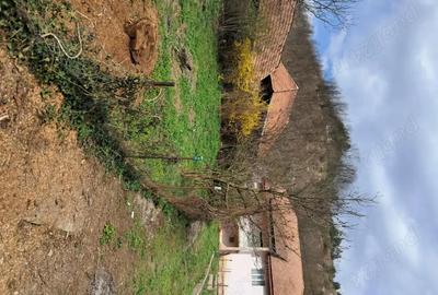 Casă cu 3 camere în Central - 3