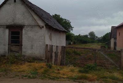Vand casa cu teren in Taut, com.Batar, jud. Bihor Vand casa cu teren in Taut, com.Batar, jud. Bihor - 3