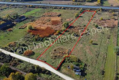 Teren de 10068 mp, în Băiculești - 12