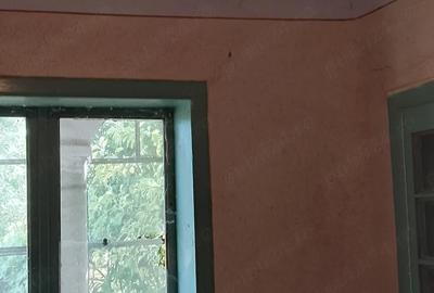 Casă cu 4 camere cu Teren 4200 Mp în Izvoru (Gogoșari) - 3