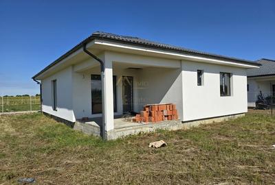 Martinesti, Casa individuala pe parter, 3 Dormitoare, 2 Bai - 17