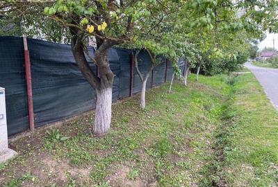 Casă cu 3 camere cu Teren 1000 Mp în Răcari - 5