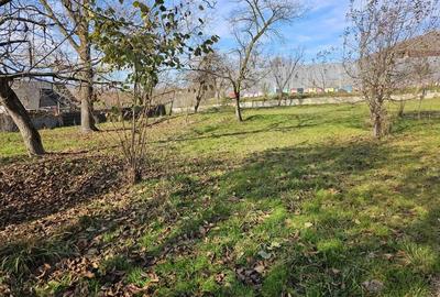 Casă cu Teren 1520 Mp în Nănești - 2