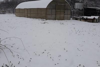 Pitaru, Dambovita - 5