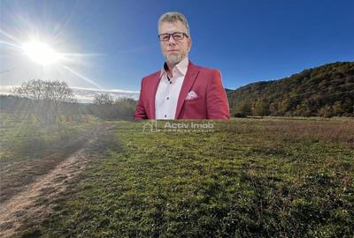 Bocsa Teren Intravilan 2754 Mp. - 5