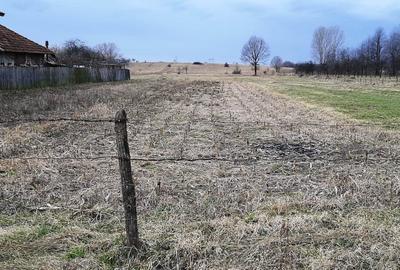 TEREN INTRAVILAN SI EXTRAVILAN POLOVRAGI - BENGEASCA - 8
