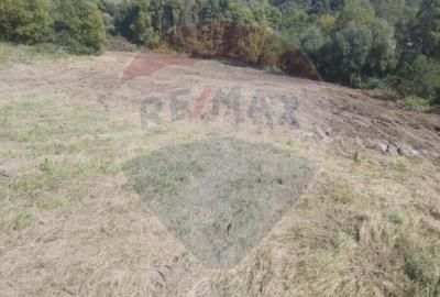 Teren de 1450 mp, în Mănăștur