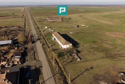 Hală industrială cu teren generos în Zărand, Arad - 60