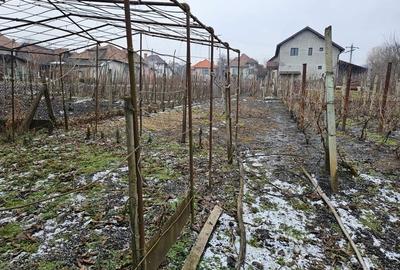 Casă în Târnăveni - 2