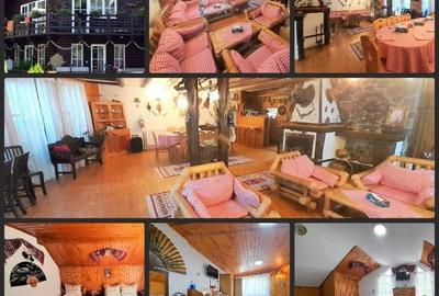 Vanzare vila Busteni, P+1+M / Zamora / pensiune / comision 0% - 10