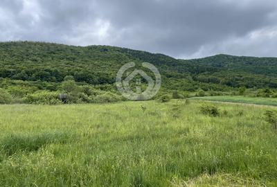 Teren agricol extravilan de 650 mp, în Poplaca - 2