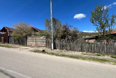 Casă cu Teren 2000 Mp în Valea - 3