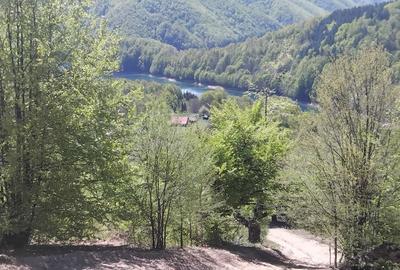 Teren de 15000 mp, în Cerna-Sat - 1