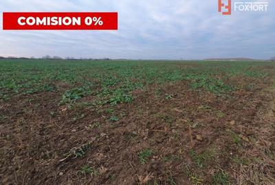 COMISION 0% Teren extravilan agricol 10.000 mp la sosea in Sag - 4
