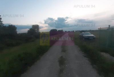 Teren aproape de Bucuresti langa padure între case - 12
