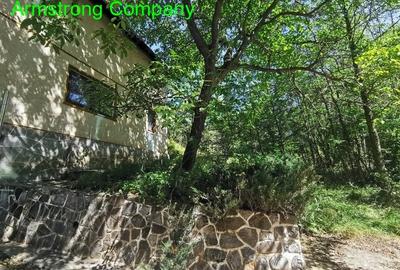 Vanzare Vila Breaza Nistoresti - 3