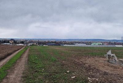 Teren de 10000 mp, în Vest - 7