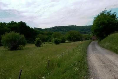 Teren de 2800 mp, în Central - 7